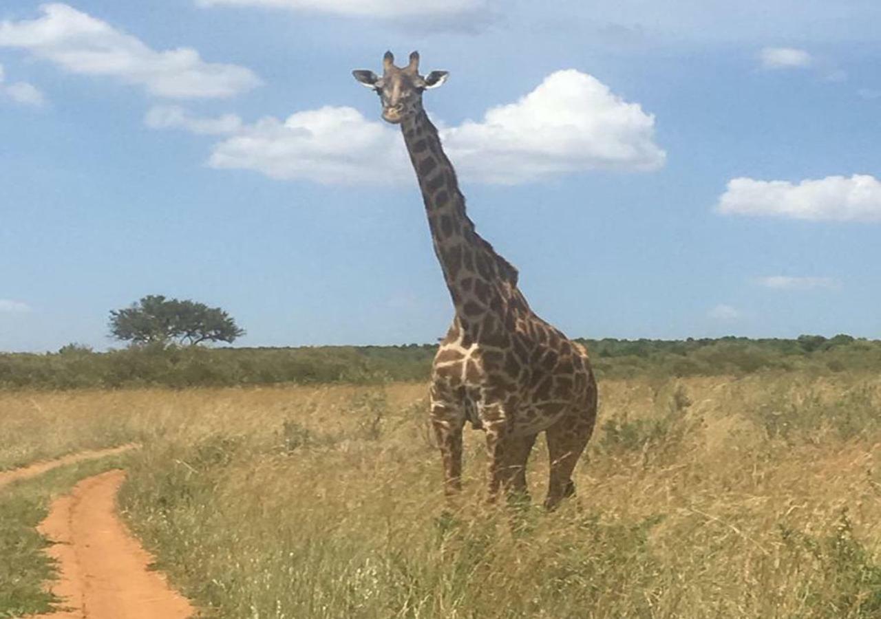 Aa Lodge Maasai Mara Talek Εξωτερικό φωτογραφία